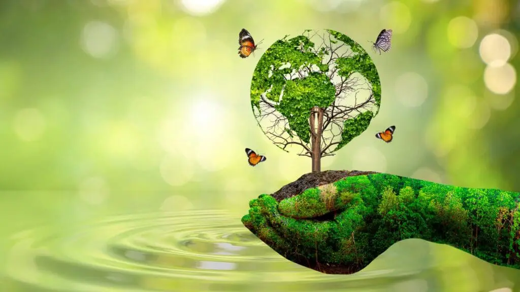 Topic Environment and Sustainability NEXT LEVEL SPEAKERS